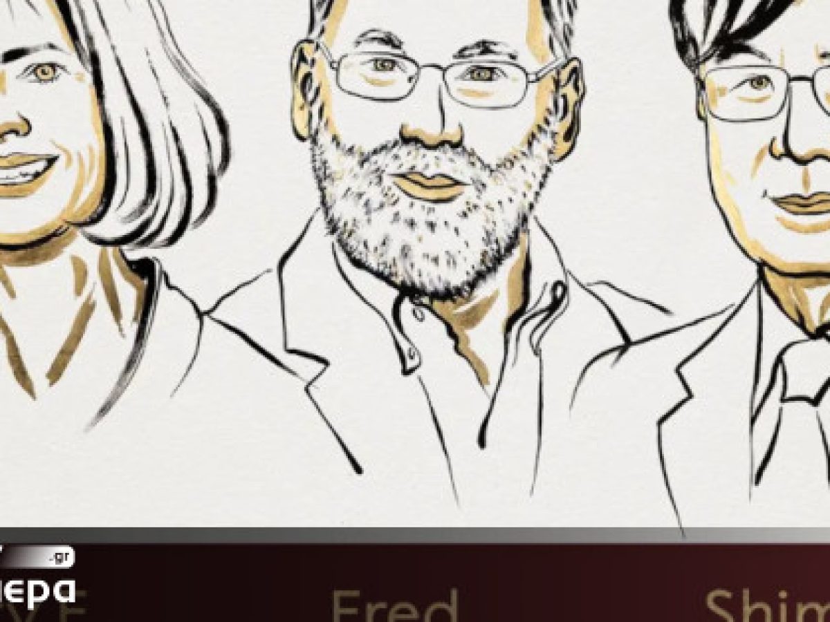 Στους Αμερικανούς Μαίρη Μπράνκοου και Φρεντ Ράμσντελ και τον Ιάπωνα Σιμόν Σακαγκούτσι το Νόμπελ Ιατρικής 2025