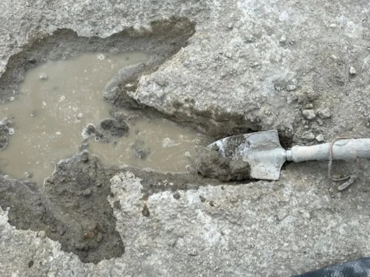 Eξι απίστευτες επιστημονικές ανακαλύψεις του 2025