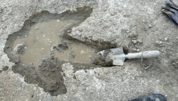 Eξι απίστευτες επιστημονικές ανακαλύψεις του 2025