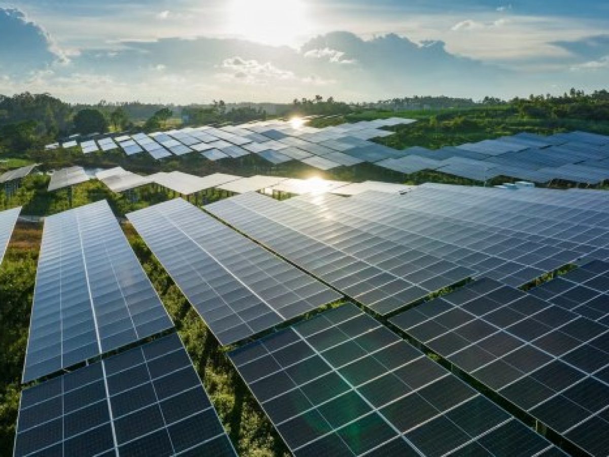 H Επιστήμη το 2025 – Αυτές ήταν οι σημαντικότερες εξελίξεις σύμφωνα με το περιοδικό Science