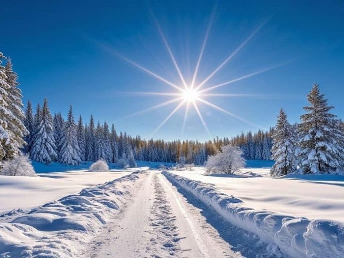 Χειμερινό Ηλιοστάσιο: Ο Σπόρος, ο Κύκλος και το Σκότος που Γεννά το Φως