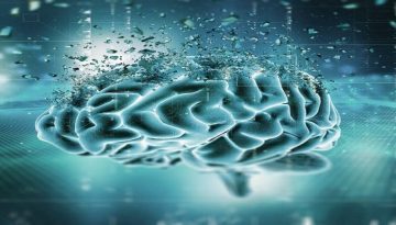 Εγκέφαλος και μικροπλαστικά: Ελαχιστοποιήστε με μια κίνηση την κατανάλωση κατά σχεδόν 90%