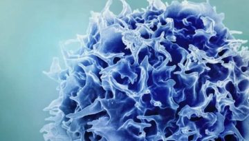 Ερευνητές ανέπτυξαν καινοτόμο μέθοδο για την αναζωογόνηση του ανοσοποιητικού συστήματος