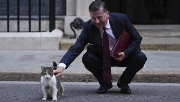 Γιατί οι γάτες νιαουρίζουν περισσότερο στους άντρες απ΄ ό,τι στις γυναίκες