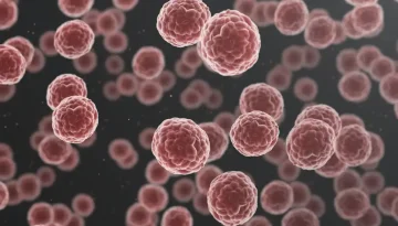 Μελέτη MIT: Αυξημένη πιθανότητα για καρκίνο του ήπατος από διατροφή με υψηλή περιεκτικότητα σε λιπαρά