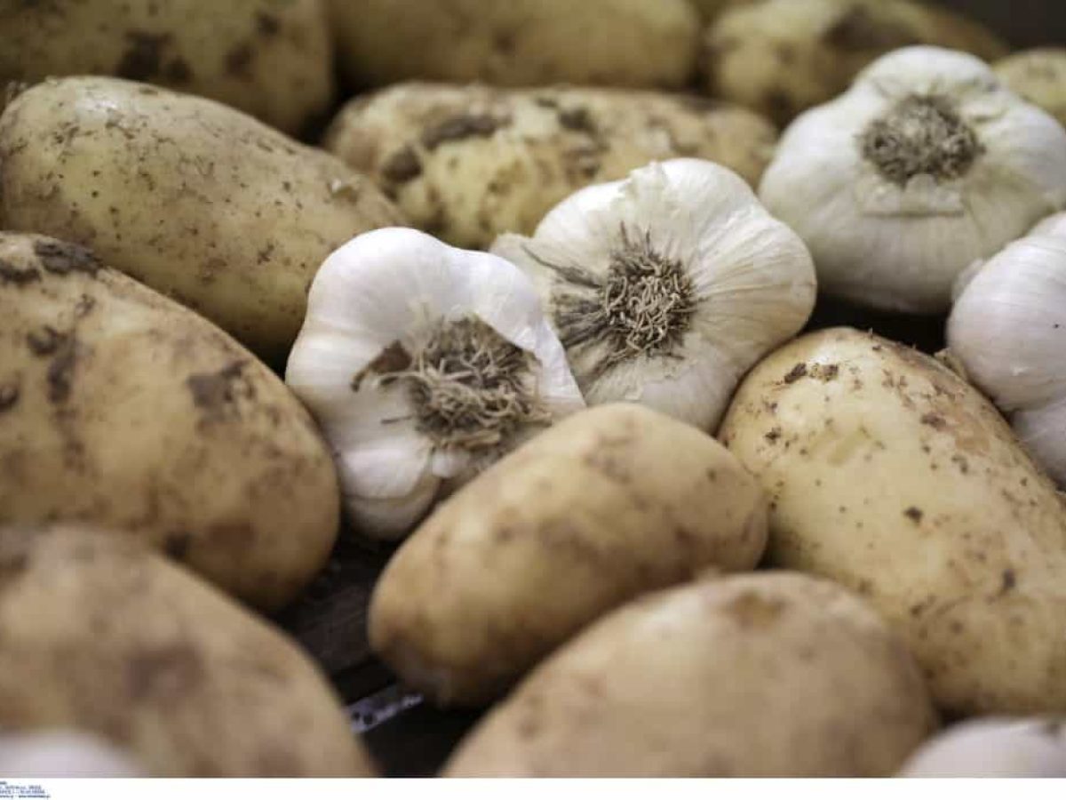 Ο ιρλανδικός λιμός της πατάτας