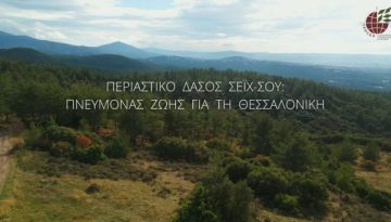 Περιαστικό Δάσος Σέιχ-Σου: πνεύμονας ζωής για τη Θεσσαλονίκη