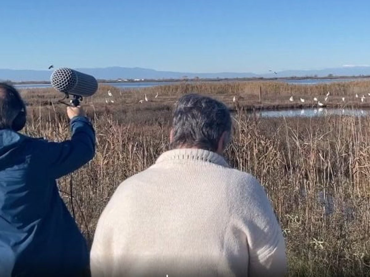 Πώς «ακούγονται» το Δέλτα του Αξιού και η λίμνη Ορεστιάδα;