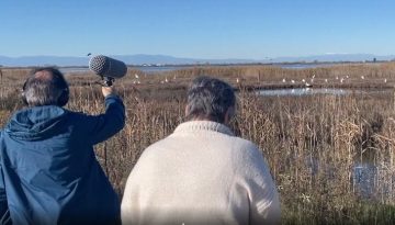 Πώς «ακούγονται» το Δέλτα του Αξιού και η λίμνη Ορεστιάδα;