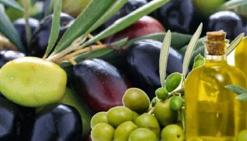 Το ελληνικό ελαιόλαδο «όπλο» κατά του Αλτσχάιμερ: Κλινικές δοκιμές από Αμερικανικά Πανεπιστήμια για πιθανές θεραπευτικές ιδιότητες