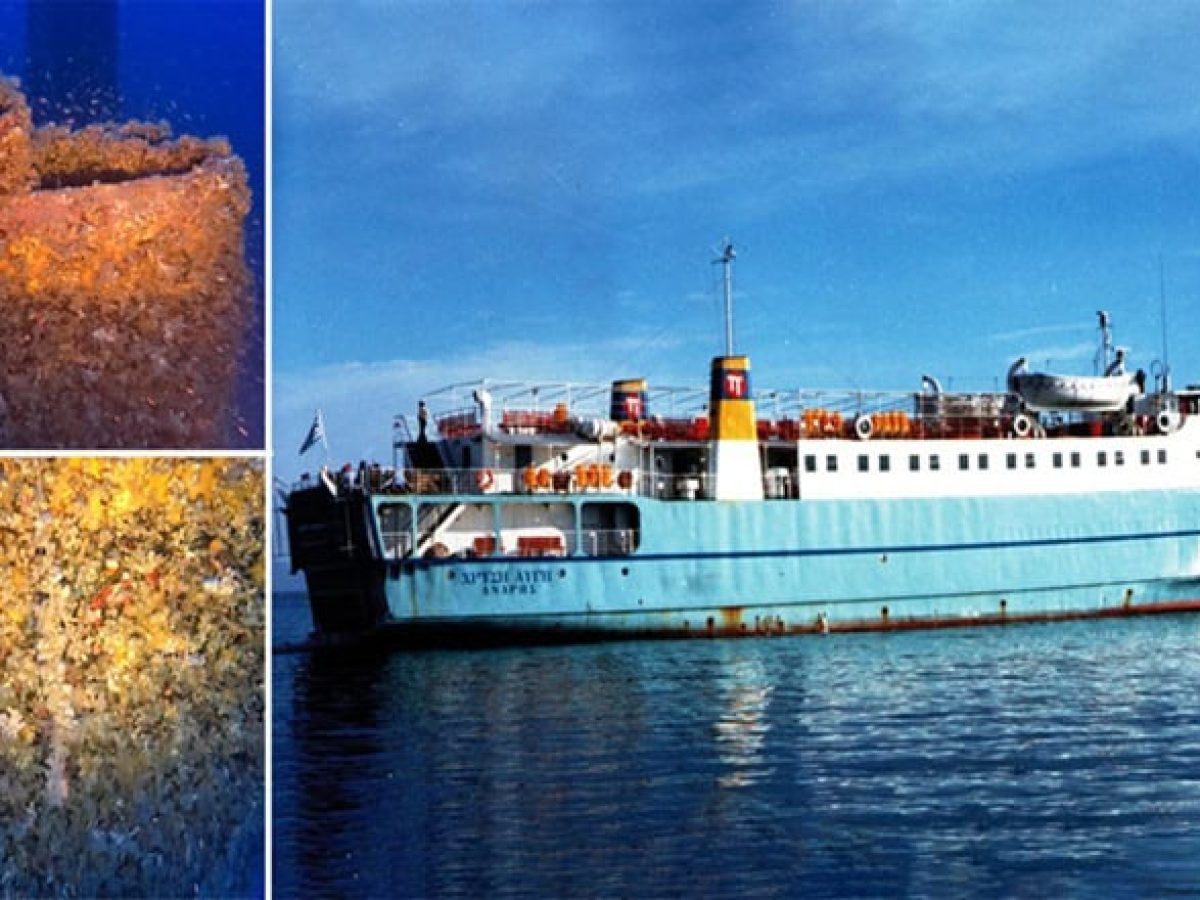 ΒΙΝΤΕΟ – Το ναυάγιο του πλοίου Χρυσή Αυγή