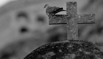 Άγιος Σάββας, η Μονή της Τραπεζούντας όπου εξορίστηκαν αυτοκράτορες