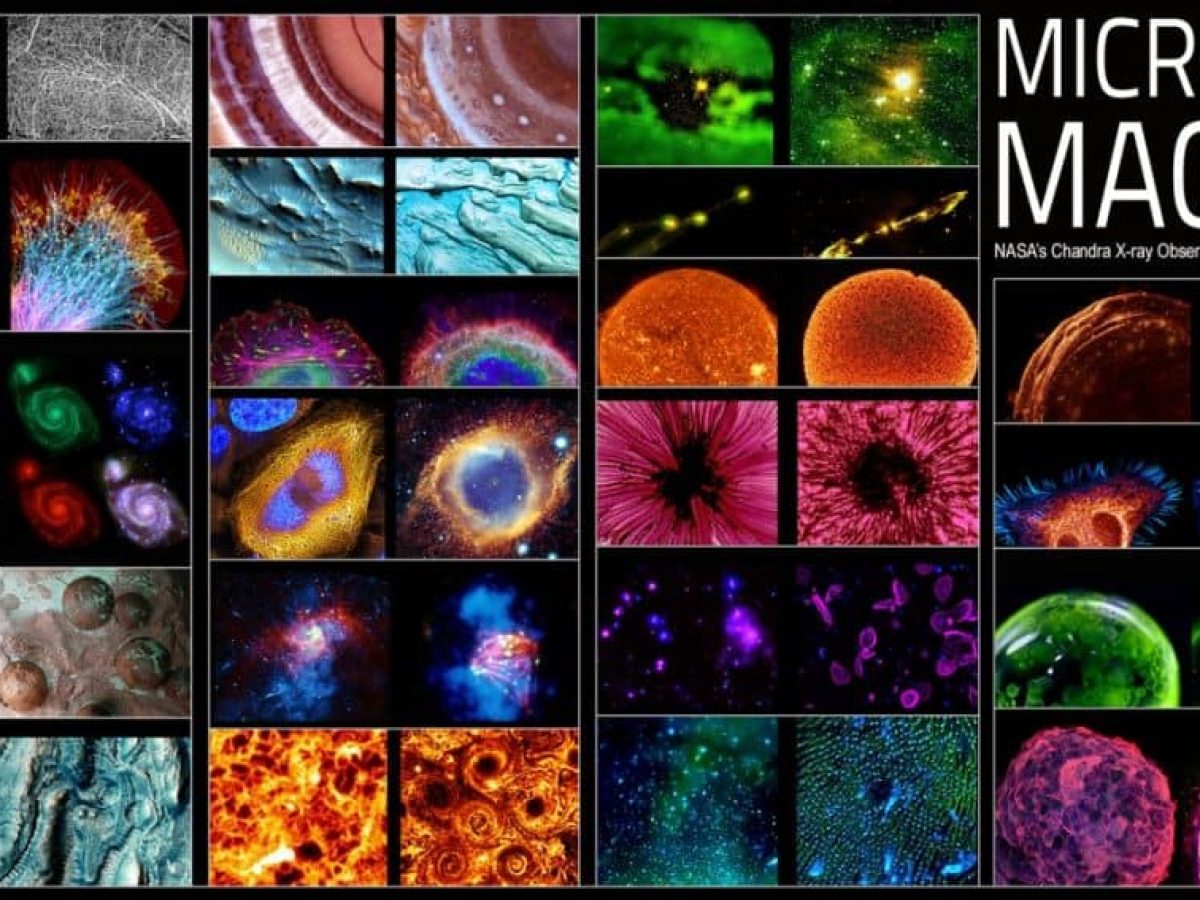 Από το εξαιρετικά μεγάλο στο απίστευτα μικρό