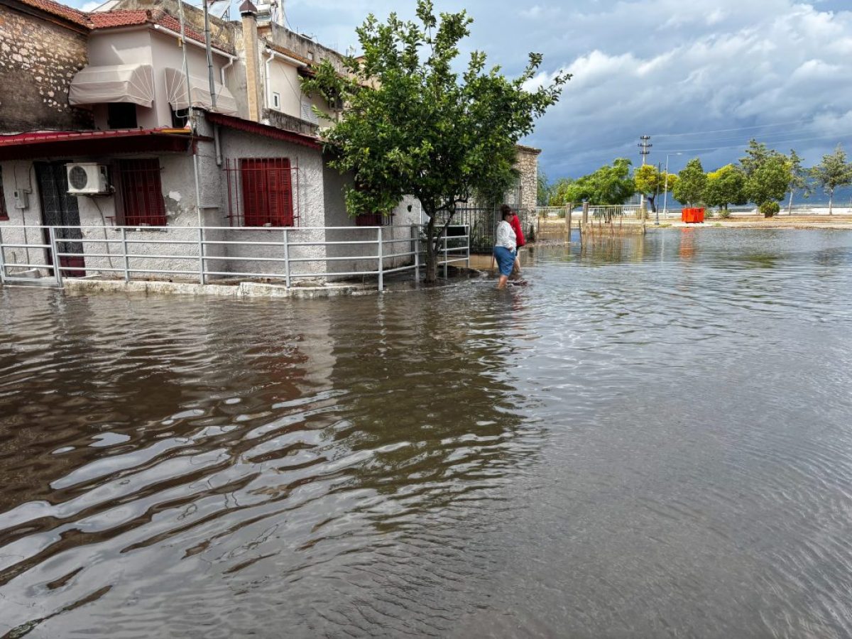 &Alpha;&kappa;&rho;&alpha;ί&alpha; &kappa;&alpha;&iota;&rho;&iota;&kappa;ά &phi;&alpha;&iota;&nu;ό&mu;&epsilon;&nu;&alpha; &sigma;&tau;&eta;&nu; &Epsilon;&lambda;&lambda;ά&delta;&alpha;: 294 &nu;&epsilon;&kappa;&rho;&omicron;ί, 633 &epsilon;&pi;&epsilon;&iota;&sigma;ό&delta;&iota;&alpha; &mu;&epsilon; &kappa;&omicron;&iota;&nu;&omega;&nu;&iota;&kappa;&omicron;&omicron;&iota;&kappa;&omicron;&nu;&omicron;&mu;&iota;&kappa;έ&sigmaf; &epsilon;&pi;&iota;&pi;&tau;ώ&sigma;&epsilon;&iota;&sigmaf; &ndash; &Tau;&iota; &mu;&alpha;&sigmaf; &pi;&epsilon;&rho;&iota;&mu;έ&nu;&epsilon;&iota;