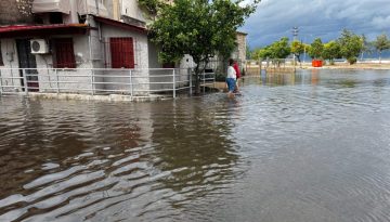 &Alpha;&kappa;&rho;&alpha;ί&alpha; &kappa;&alpha;&iota;&rho;&iota;&kappa;ά &phi;&alpha;&iota;&nu;ό&mu;&epsilon;&nu;&alpha; &sigma;&tau;&eta;&nu; &Epsilon;&lambda;&lambda;ά&delta;&alpha;: 294 &nu;&epsilon;&kappa;&rho;&omicron;ί, 633 &epsilon;&pi;&epsilon;&iota;&sigma;ό&delta;&iota;&alpha; &mu;&epsilon; &kappa;&omicron;&iota;&nu;&omega;&nu;&iota;&kappa;&omicron;&omicron;&iota;&kappa;&omicron;&nu;&omicron;&mu;&iota;&kappa;έ&sigmaf; &epsilon;&pi;&iota;&pi;&tau;ώ&sigma;&epsilon;&iota;&sigmaf; &ndash; &Tau;&iota; &mu;&alpha;&sigmaf; &pi;&epsilon;&rho;&iota;&mu;έ&nu;&epsilon;&iota;
