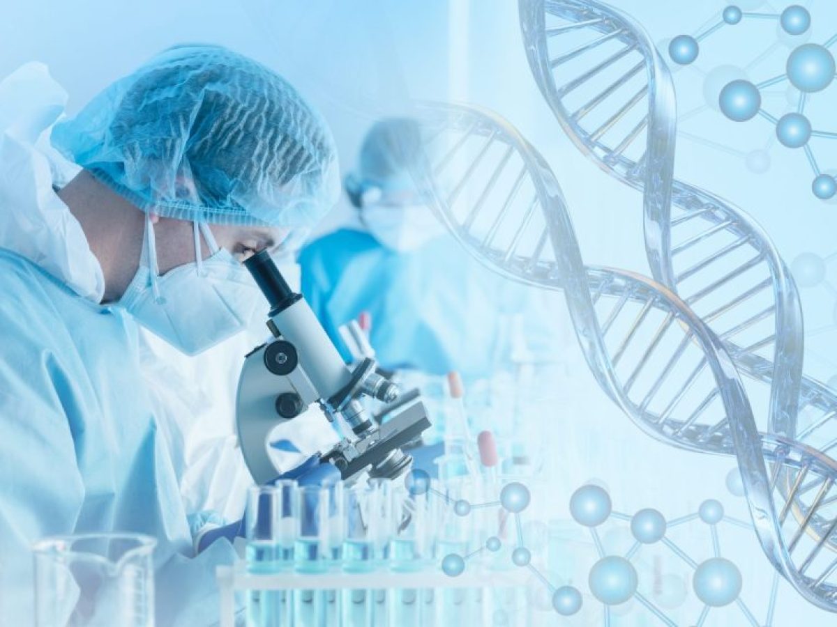 &Alpha;&rho;&chi;&alpha;ί&omicron; DNA &xi;&alpha;&nu;&alpha;&gamma;&rho;ά&phi;&epsilon;&iota; &tau;&eta;&nu; &iota;&sigma;&tau;&omicron;&rho;ί&alpha; &tau;&eta;&sigmaf; &sigma;ύ&phi;&iota;&lambda;&eta;&sigmaf;: &Delta;&epsilon;&nu; &tau;&eta;&nu; έ&phi;&epsilon;&rho;&epsilon; &omicron; &Kappa;&omicron;&lambda;ό&mu;&beta;&omicron;&sigmaf;; &Tau;&iota; &alpha;&pi;&omicron;&kappa;&alpha;&lambda;ύ&pi;&tau;&epsilon;&iota; &sigma;&kappa;&epsilon;&lambda;&epsilon;&tau;ό&sigmaf; 5.500 &epsilon;&tau;ώ&nu;