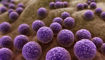 SPARDA: Ένα βακτηριακό σύστημα που ανοίγει τον δρόμο για την επόμενη γενιά διαγνωστικών εργαλείων