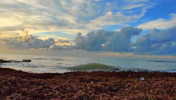 Δραματική προειδοποίηση επιστημόνων: Τι ανησυχητικό συμβαίνει στους ωκεανούς