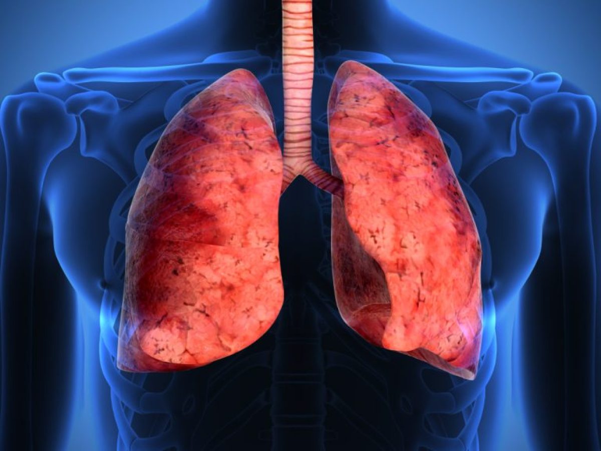 Ερευνητές ανέπτυξαν τον πρώτο «πνεύμονα-σε-τσιπ» που προσομοιώνει την αναπνοή