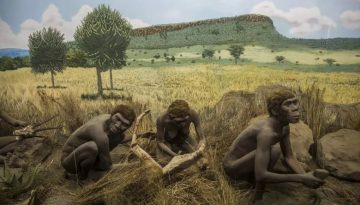 Η θεωρία της εξέλιξης του ανθρώπου: Το κενό των 30 εκατ. χρόνων ίσως είναι οφθαλμαπάτη