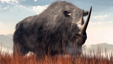 Ιδού πώς εξαφανίστηκε το «τέρας» της Εποχής των Παγετώνων: Το μυστικό κρυβόταν για 14.000 χρόνια στο στομάχι ενός μικρού λύκου