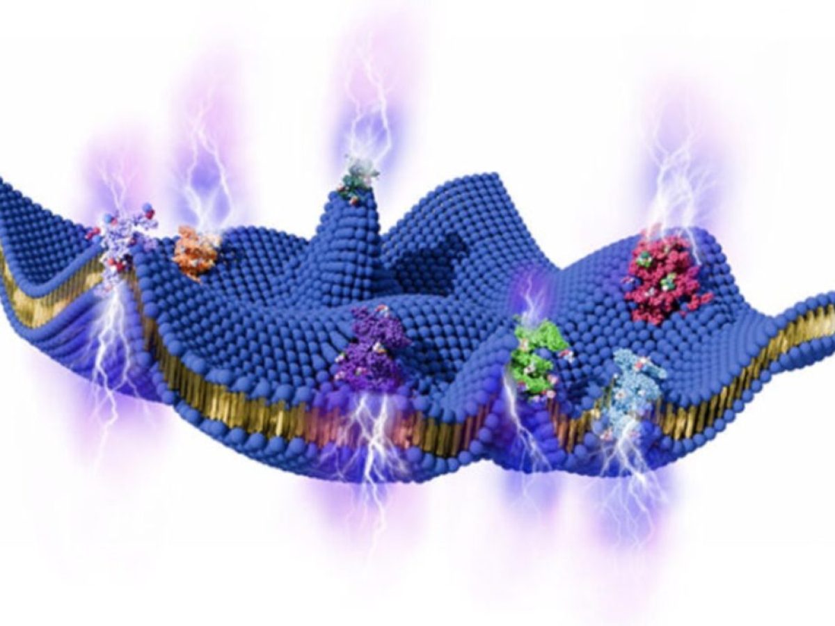 Μια άγνωστη πηγή ενέργειας φαίνεται να κρύβεται γύρω από τα κύτταρά μας