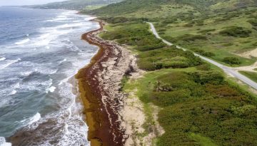 Μια τεράστια καφέ λωρίδα σε μέγεθος ηπείρου απλώνεται στον Ατλαντικό – Γιατί είναι τόσο ανησυχητικό