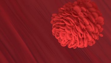 Νέα πλατφόρμα αναπαράγει πολύπλοκες δομές αιμοφόρων αγγείων