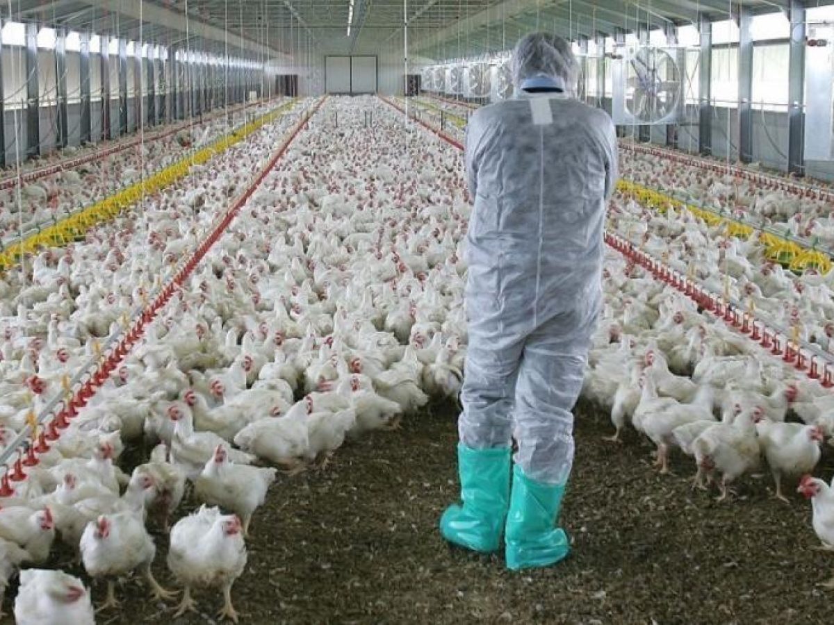 Πόσο κόντα είμαστε σε νέα πανδημία; Ο επόμενος «υγειονομικός εφιάλτης» – Γιατί δεν έχουμε αντισώματα