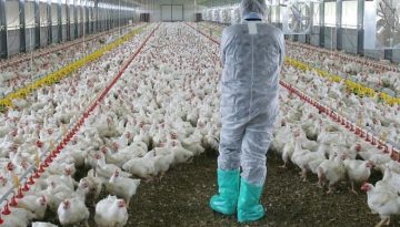 Πόσο κόντα είμαστε σε νέα πανδημία; Ο επόμενος «υγειονομικός εφιάλτης» – Γιατί δεν έχουμε αντισώματα