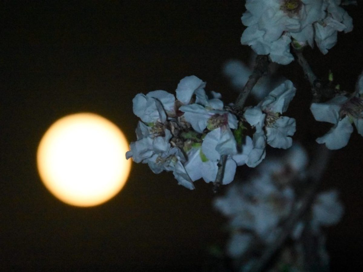 Σελήνη του Χιονιού: Πότε θα φωτίσει τον νυχτερινό ουρανό η εντυπωσιακή πανσέληνος