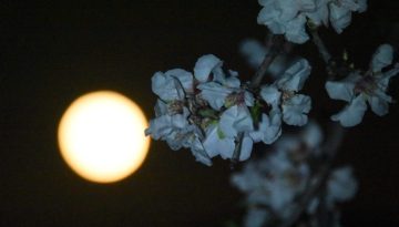 Σελήνη του Χιονιού: Πότε θα φωτίσει τον νυχτερινό ουρανό η εντυπωσιακή πανσέληνος