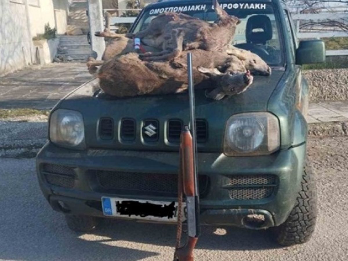 Συνέλαβαν λαθροθήρα με τρία σκοτωμένα ζαρκάδια