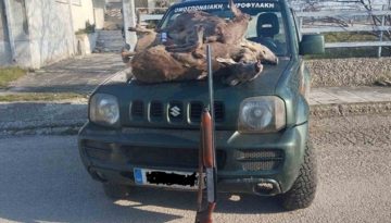 Συνέλαβαν λαθροθήρα με τρία σκοτωμένα ζαρκάδια