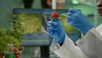 Από τον Καναδά στην Ευρώπη: Η μάχη για τη σήμανση των Γενετικά Τροποποιημένων-GMO