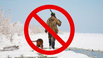 Δασαρχείο Διδυμοτείχου: Απαγόρευση κυνηγιού λόγω χιονοπτώσεων