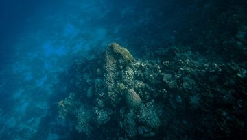 Επιστήμονες προειδοποιούν για έναν κρυφό κόσμο που «κοιμάται» βαθιά κάτω από τη Γη – Θα ξυπνήσει με κάτι που θα συμβεί μόνο μία φορά σε χιλιάδες χρόνια;