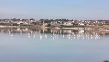 Εθελοντικοί καθαρισμοί σε 4 σημαντικούς υγροτόπους