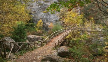 Εθνικό Δίκτυο Μονοπατιών: Νέα έργα σε Δήμους και Ιερά Μονή Βατοπαιδίου με χρηματοδότηση 5,5 εκατ. ευρώ