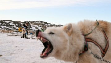Η κλιματική αλλαγή απειλεί τον παραδοσιακό τρόπο ζωής της Γροιλανδίας