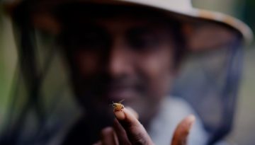 Οι μεταναστευτικοί μελισσοκόμοι της Ινδίας και οι κυψέλες τους ακολουθούν τα λουλούδια για να φέρουν το μέλι