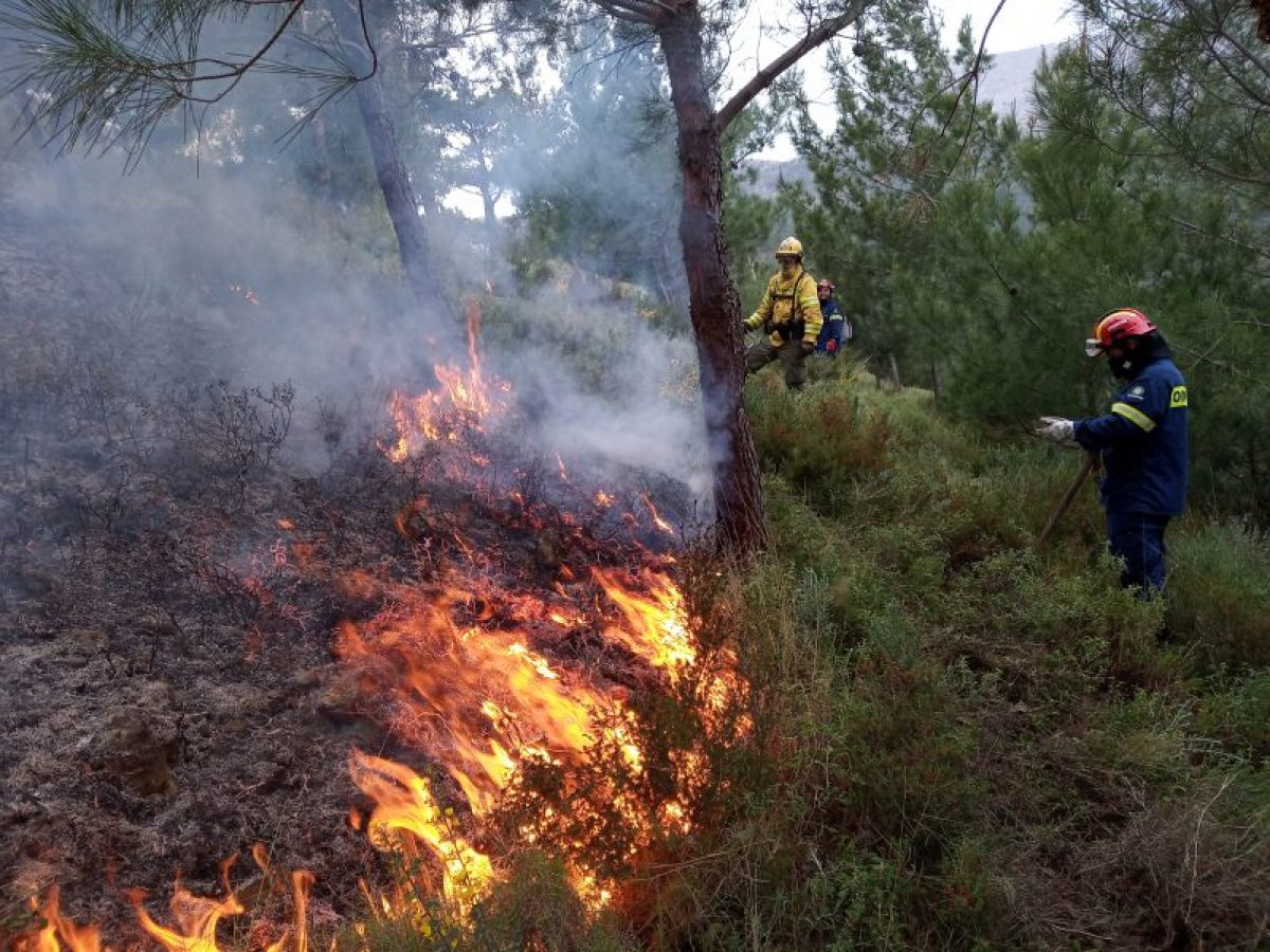 Ηλ. Τζηρίτης: «Νομοσχέδιο για δασικές πυρκαγιές: Σημαντική ευκαιρία για μια νέα αρχή»