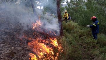 Ηλ. Τζηρίτης: «Νομοσχέδιο για δασικές πυρκαγιές: Σημαντική ευκαιρία για μια νέα αρχή»