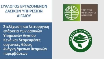 &Upsilon;&pi;&omicron;&sigma;&tau;&epsilon;&lambda;έ&chi;&omega;&sigma;&eta; &sigma;&tau;&iota;&sigmaf; &Delta;&alpha;&sigma;&iota;&kappa;έ&sigmaf; &Upsilon;&pi;&eta;&rho;&epsilon;&sigma;ί&epsilon;&sigmaf; &ndash; &Tau;&omicron; &Alpha;&iota;&gamma;&alpha;ί&omicron; &sigma;&epsilon; &omicron;&rho;&iota;&alpha;&kappa;ή &kappa;&alpha;&tau;ά&sigma;&tau;&alpha;&sigma;&eta;