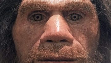 Μελέτη λύνει το μυστήριο της σεξουαλικής ζωής των Νεάντερταλ και Homo Sapiens – Τι δεν μπορούν να εξηγήσουν οι επιστήμονες