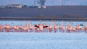 Παγκόσμια Ημέρα Υγροτόπων