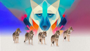 Πώς ο άγριος λύκος εξελίχθηκε στον πιστό σκύλο