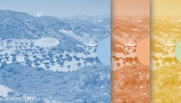 ΣτΕ 97/2026: Παράνομη εν μέρει απόφαση κύρωσης δασικού χάρτη