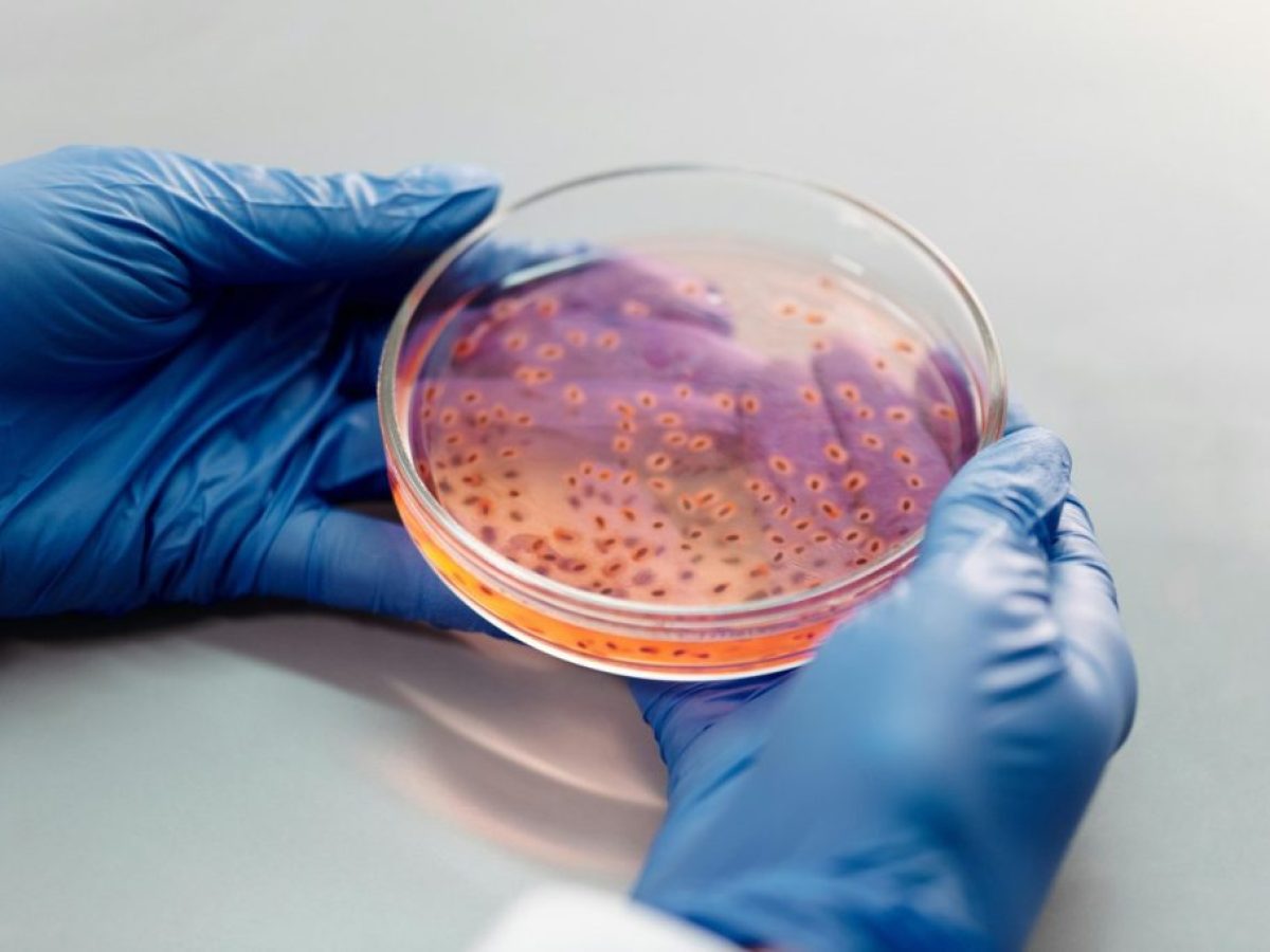 Βιοτεχνολογικό θαύμα: Βακτήρια E. coli γίνονται «φάρμακα» για τον καρκίνο και τον διαβήτη