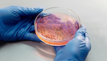 Βιοτεχνολογικό θαύμα: Βακτήρια E. coli γίνονται «φάρμακα» για τον καρκίνο και τον διαβήτη